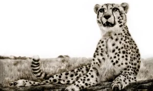 Wildlife art of a cheetah resting in the grassland, created in smoke drawing style.
