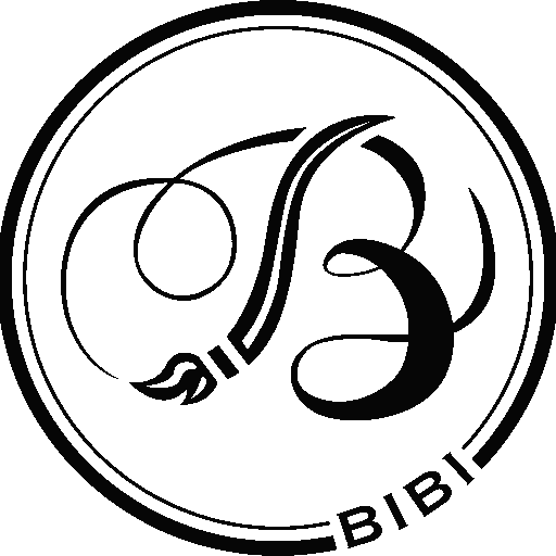 Bibi Art Studio favicon