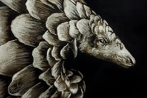 Smoke art portrait of a pangolin, highlighting its textured protective scales and gentle face against a dark background.
