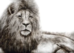 Smoke art portrait of a majestic lion lying in the grass, its powerful mane detailed with fine texture and expression.