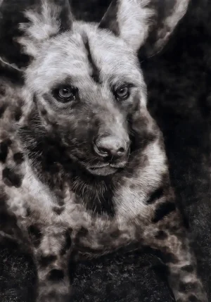 Smoke art portrait of an African Wild Dog, showing its intense gaze, patterned fur, and large ears, rendered in detailed monochrome tones.