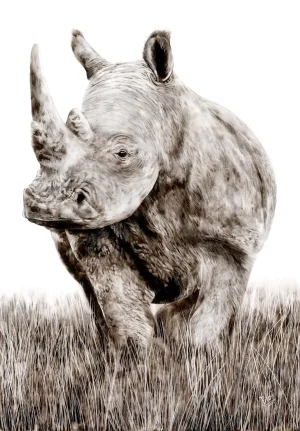 Smoke art drawing of a white rhino standing in tall savanna grass, its textured skin and horn rendered in monochrome detail against a white background.