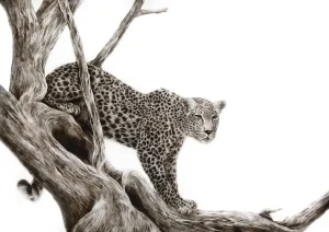 Monochrome artwork of a leopard poised in a tree, blending power and elegance with watchful intensity, created by BIBI Art Studio.