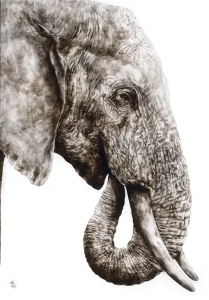 Smoke artwork of an African elephant bull in side profile, showing intricate wrinkles and curved tusks.
