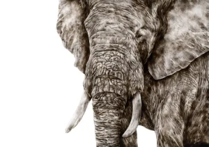 Detailed smoke artwork of an African elephant bull, front-facing, with deep textures on its trunk and tusks.