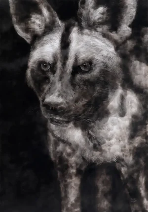 Smoke art portrait of an African Wild Dog, also known as a Painted Wolf, showing its intense gaze, mottled coat, and upright ears against a dark background.