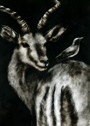 Smoke art of an impala with curved horns, looking back over its shoulder, with a small bird perched on its back against a dark background.