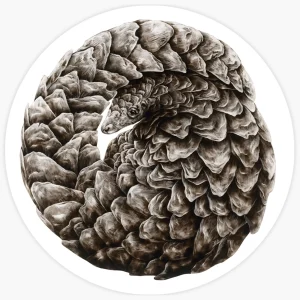 Enduring - Limited Edition Prints