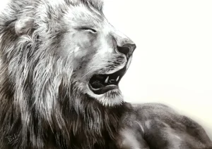 Content - Limited Edition Prints