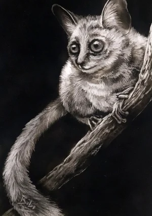 Mpho - Limited Edition Prints