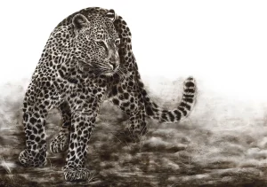 Prevail - Limited Edition Prints