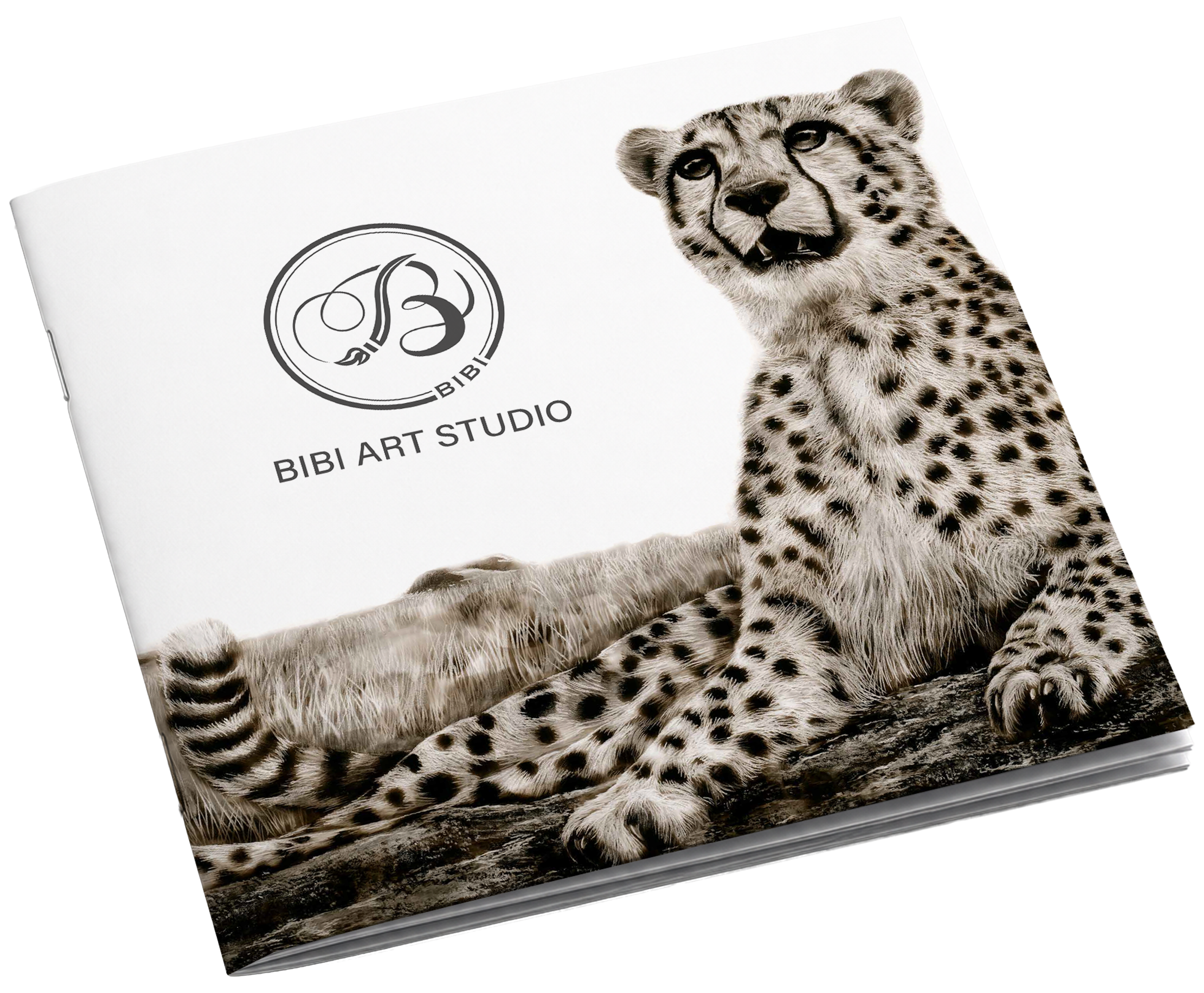 Bibi Art Studio Booklet