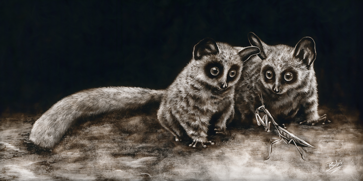 Original Wildlife Art