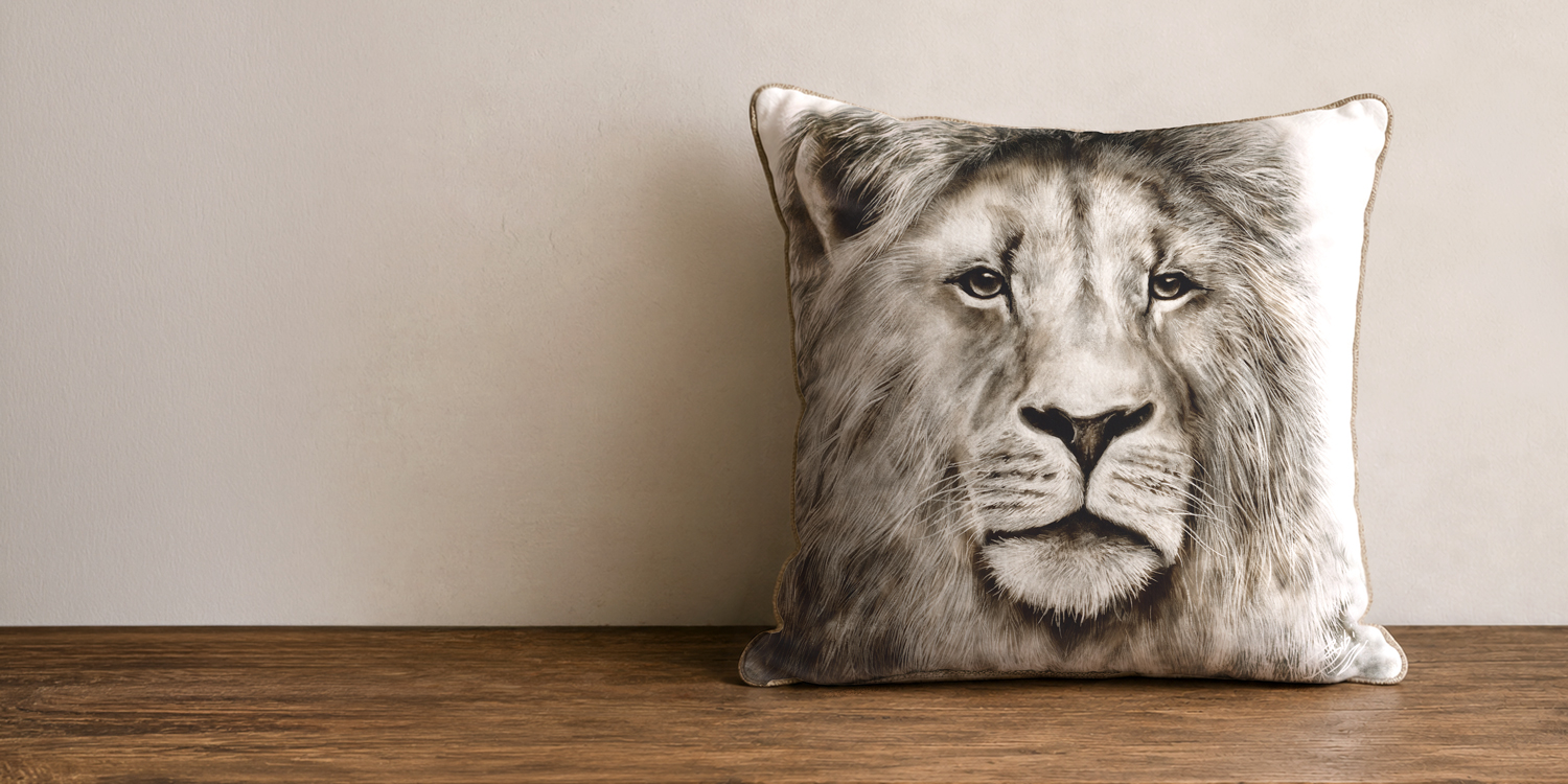 Wild Comfort