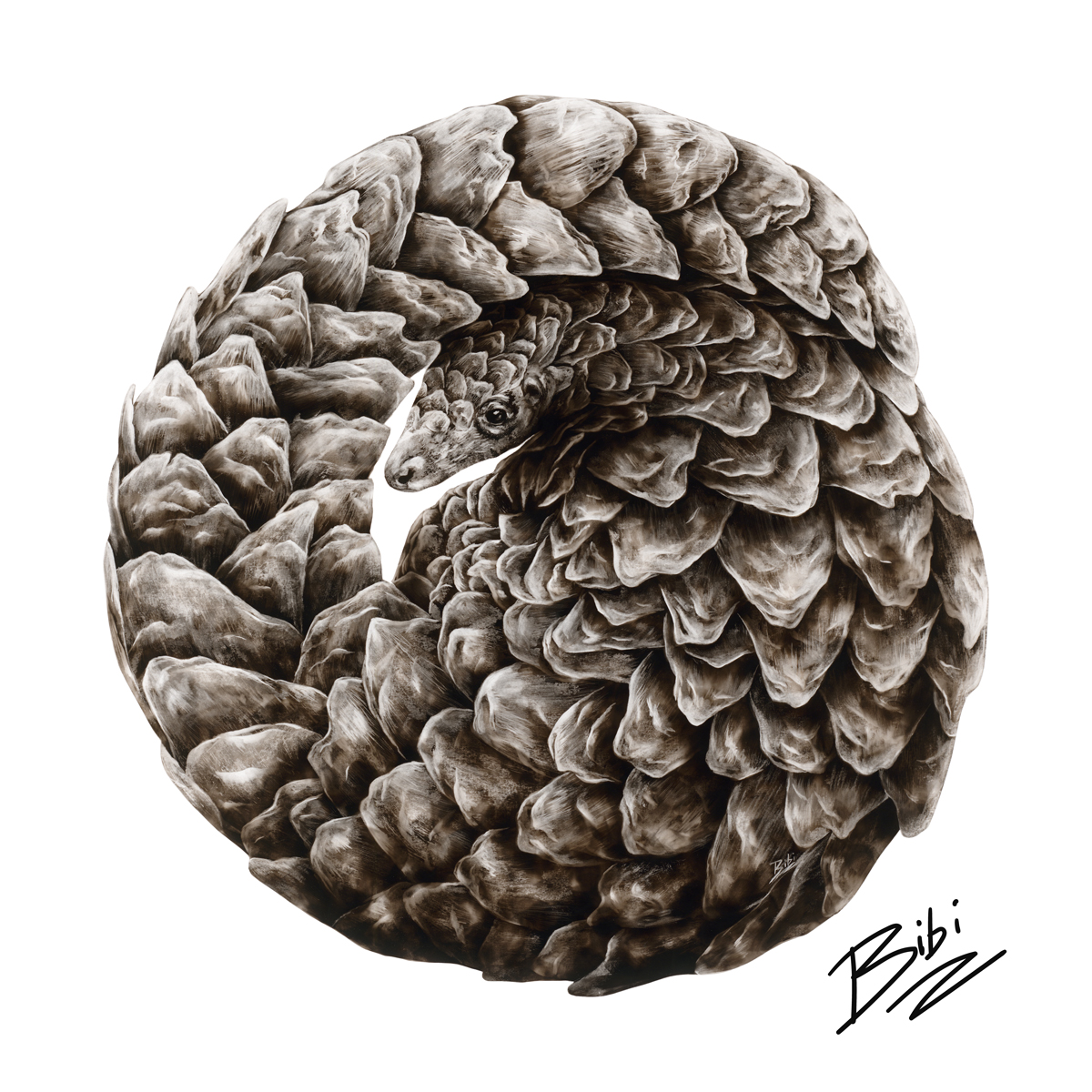 Original Art