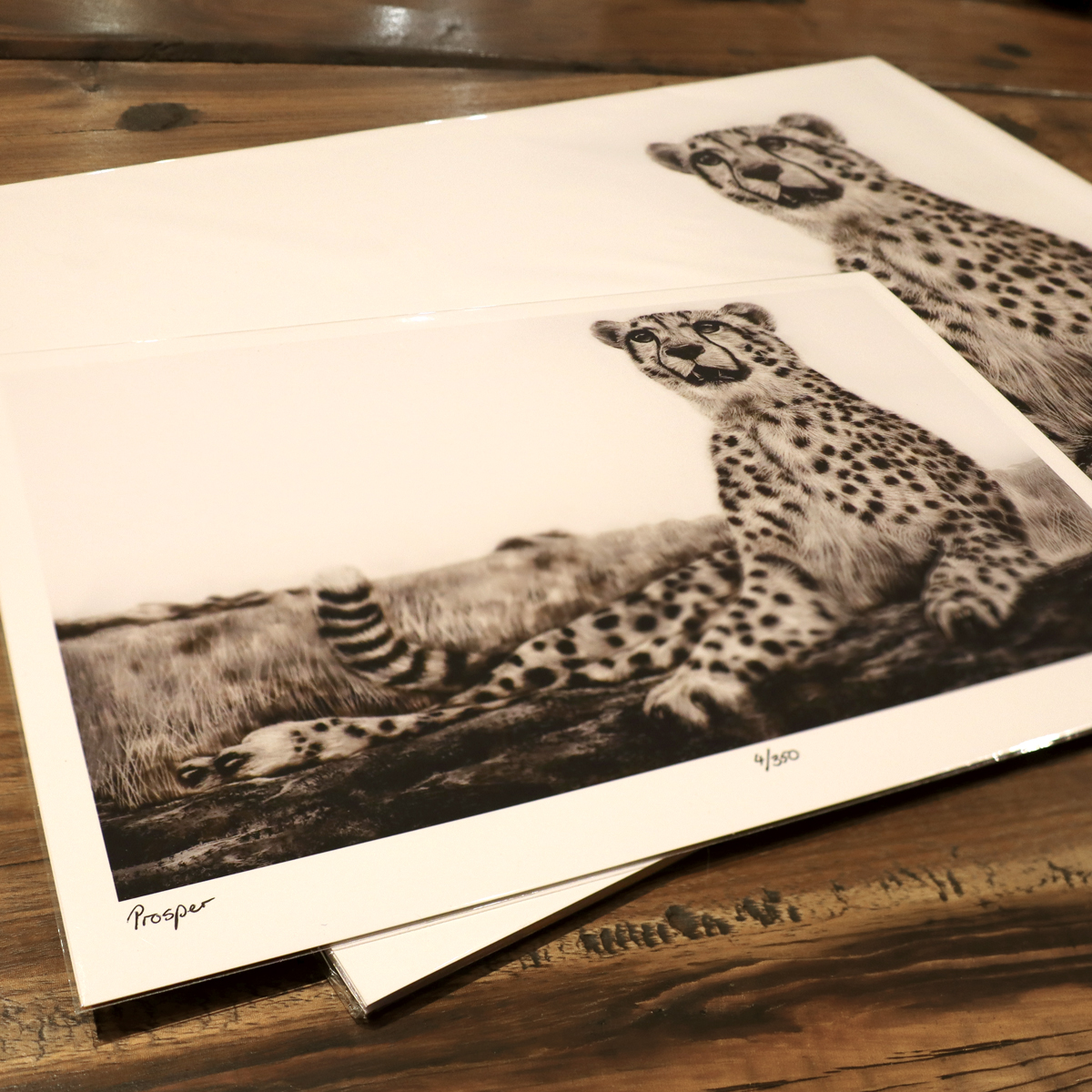 Limited Edition Prints