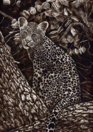Quiet Curiosity - Original Smoke Art on Paper