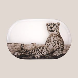 Prosper Petite Board
