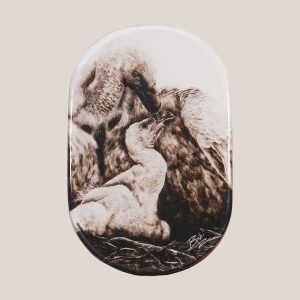 Venture Petite Board