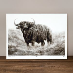 Boesman - Limited Edition Prints