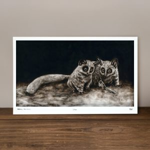 Encounter - Limited Edition Prints