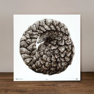 Enduring - Limited Edition Prints