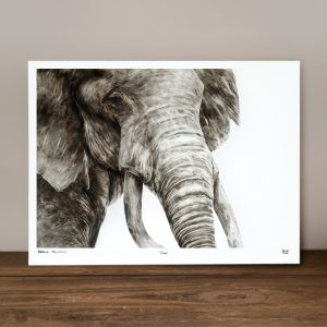Oupoot - Limited Edition Prints