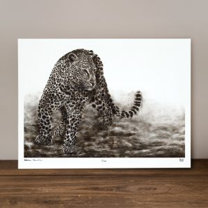 Prevail - Limited Edition Prints
