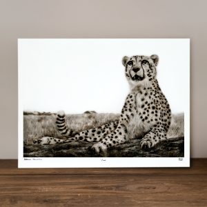 Prosper - Limited Edition Prints