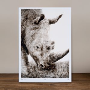 Regal - Limited Edition Prints