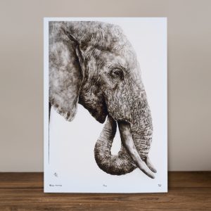 Remembrance - Limited Edition Prints