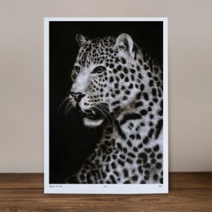 Spirited - Limited Edition Prints