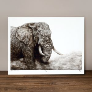 Stoic - Limited Edition Prints